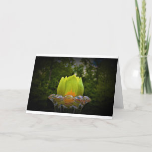 Tulip Poplar Blossom, cartão