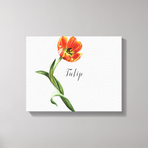 Tulip Watercolor Canvas Laranja Imprimir