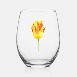 Tulipa amarela e vermelha