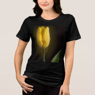 Tulipa Amarela Elegante