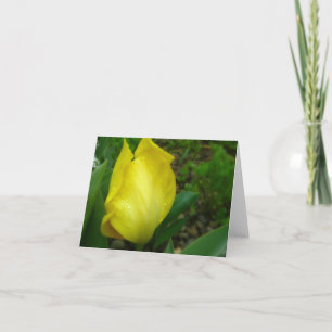 Tulipa amarela no cartão de nota da chuva de