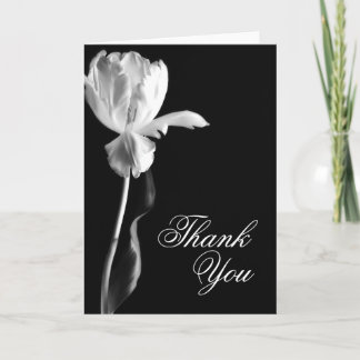 Tulipa Branca Preto Fundo Obrigado Cartões De Vazi