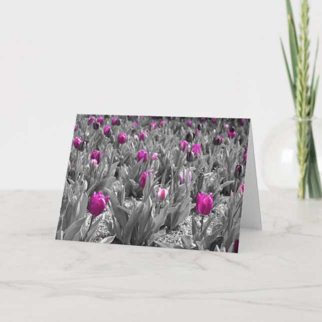 Tulipa, cartão (Frente)