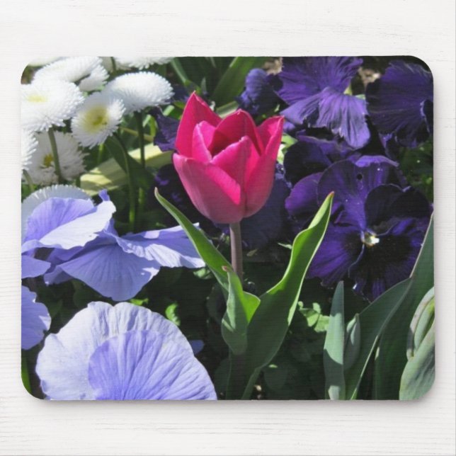 Tulipa cor-de-rosa minúscula Mousepad (Frente)