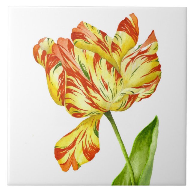 Tulipa de fermento em um Azulejo cerâmico (Frente)