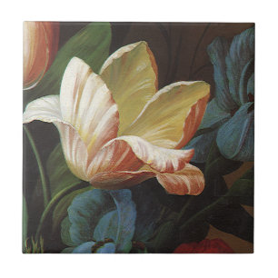 Tulipa de Jardim Antiga em Flor, Flores Vitorianas