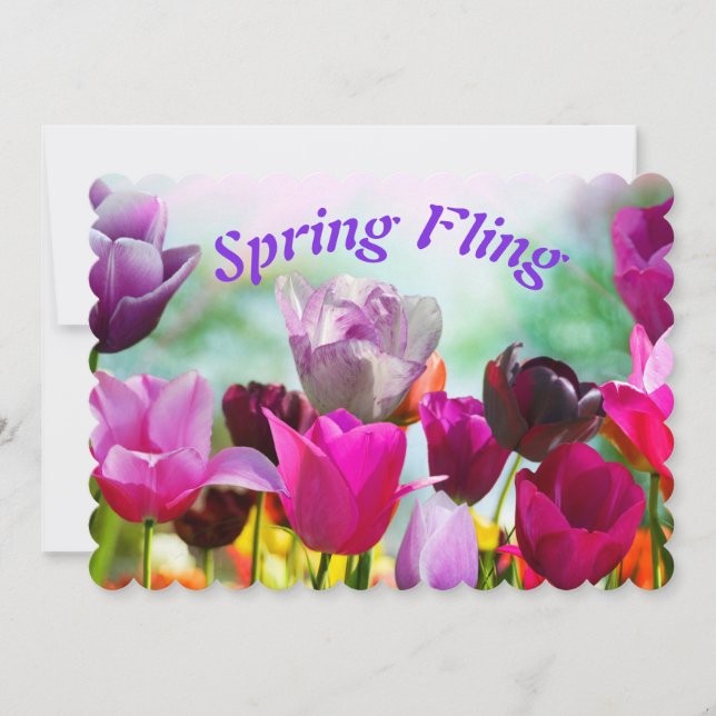 Tulipa Floral primavera (Frente)