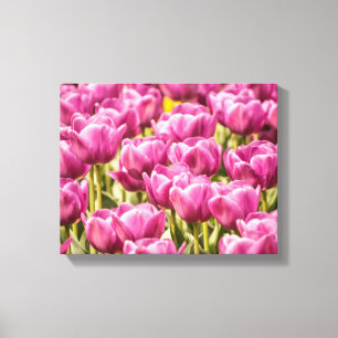Tulipa fúcsia - canvas