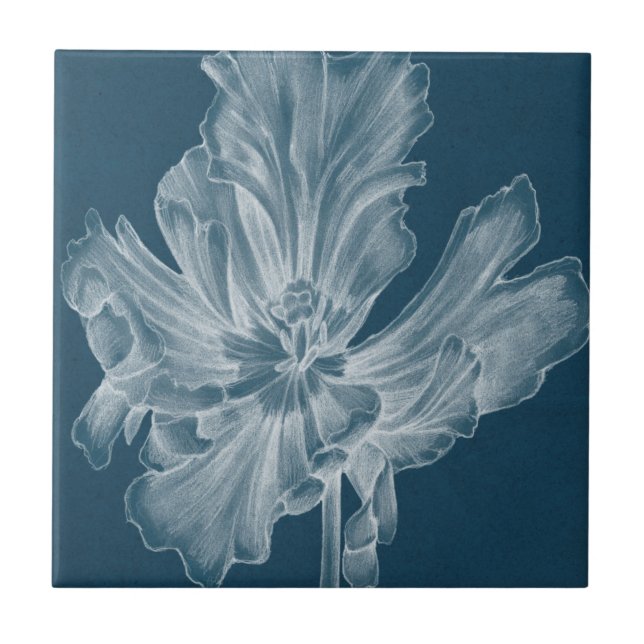 Tulipa II monocromática (Frente)