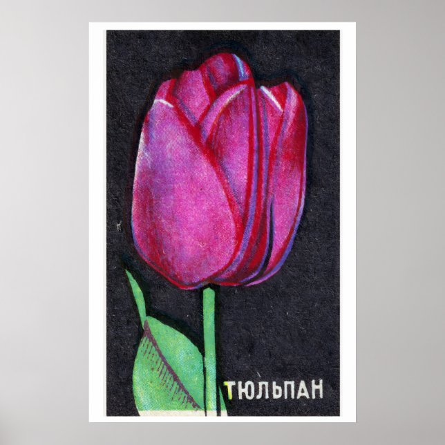 Tulipa Roxa - Impressão Caixa de Fósforos - Arte d (Frente)