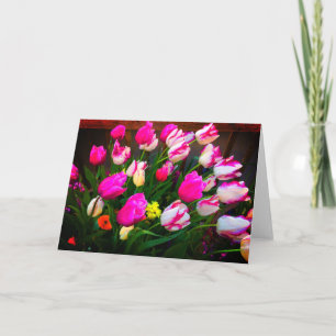 Tulipa Sonho de Natal e Affaire Cartão #1