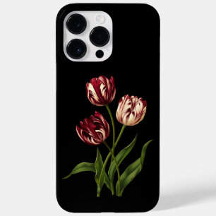 Tulipa Tardia 001 ~ Arte Botânica~