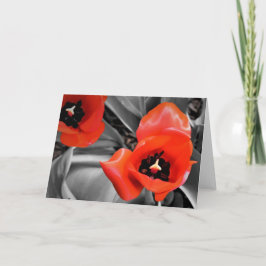 Tulipa vermelha, cartão