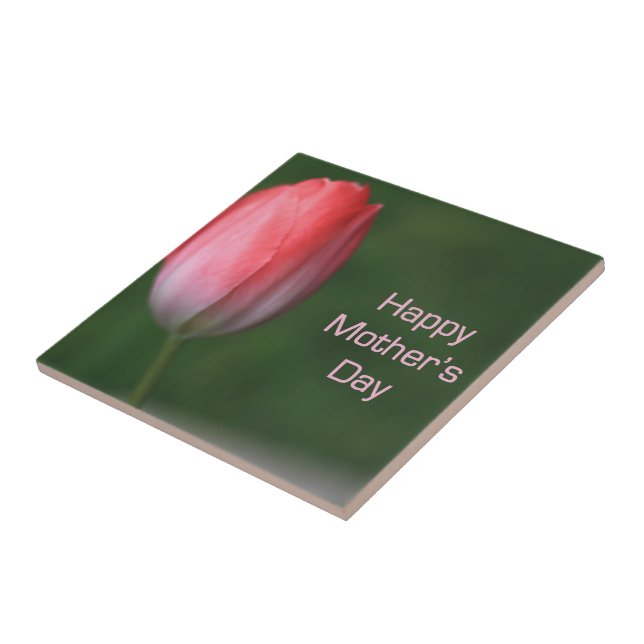 tulipa vermelha, dia de as mães feliz (Lateral)