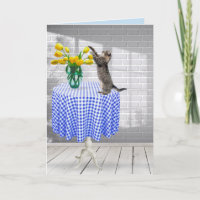 Tulipas Amarelas de Gato e Aniversário no Cartão d