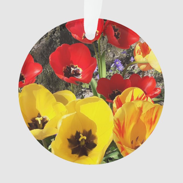 Tulipas Amarelas e Vermelhas Acritivas Ornamento (Frente)