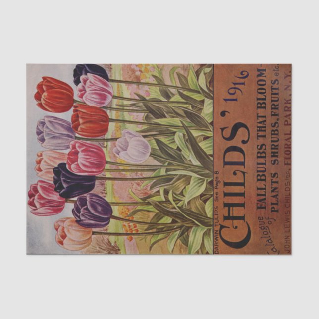 Tulipas antigas da queda do lenço de papel de 1916 (Frente )