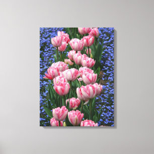 Tulipas Arte-Cor-de-rosa das canvas
