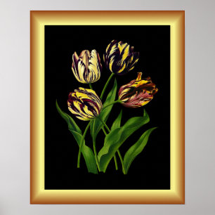 Tulipas Bizarres ~ Impressão de Arte Botânica ~