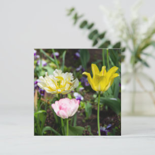 Tulipas brancas, cor-de-rosa e amarelas no jardim