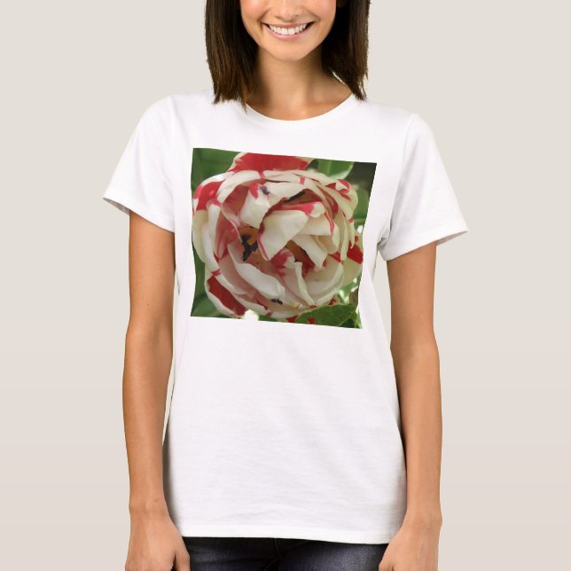 Tulipas brancas e cor-de-rosa T Camisa (Frente)