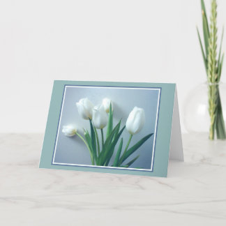 Tulipas brancas perfeitas no cartão azul