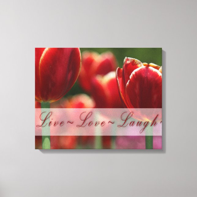 Tulipas Canvas Envolve "amor ao vivo" (Frente)