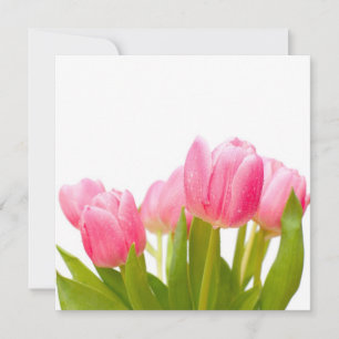 Tulipas cor-de-rosa