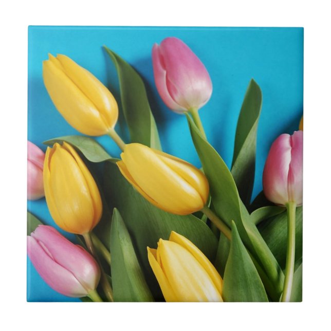 Tulipas cor-de-rosa e amarelas bonitas do (Frente)