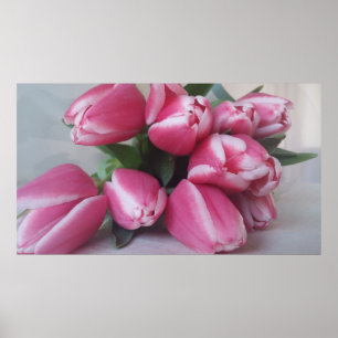 Tulipas cor-de-rosa, Poster