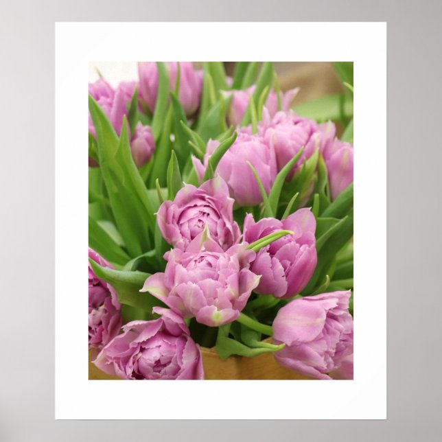 Tulipas cor-de-rosa Poster (Frente)