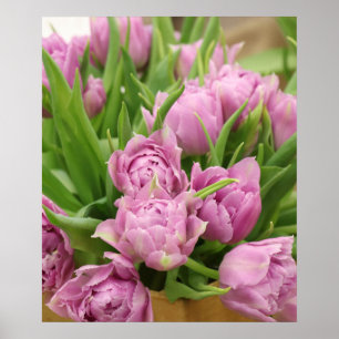 Tulipas cor-de-rosa Poster
