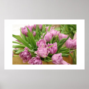 Tulipas cor-de-rosa Poster