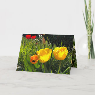 Tulipas de cartão de flores páscoa amarelo alaranj