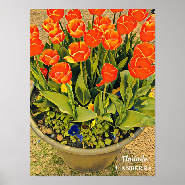 Tulipas de impressão do festival de flores de Flor (Frente)