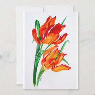 Tulipas de Papagaio Vermelho Brilhante