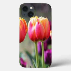 Tulipas de queda Achama