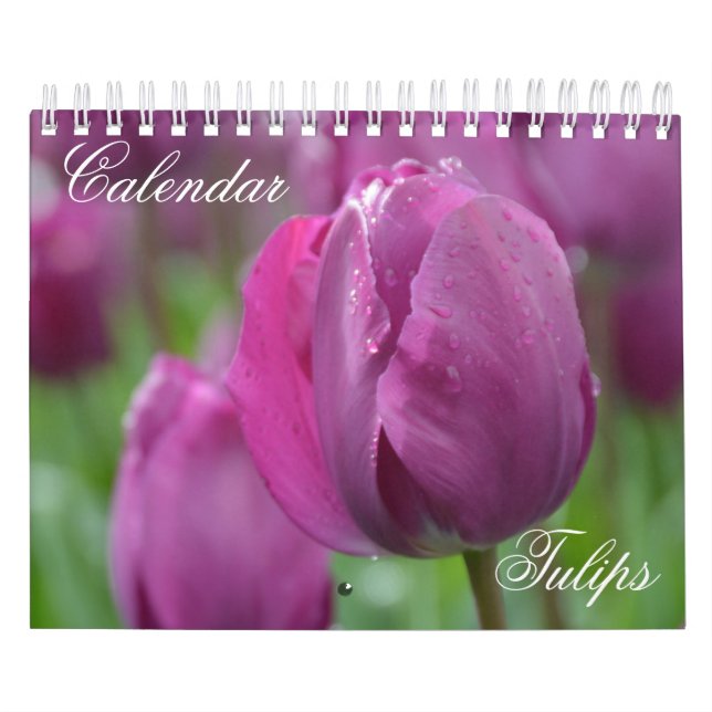 Tulipas do Calendário (Capa)