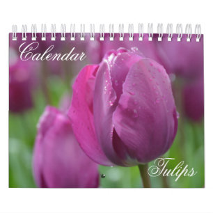 Tulipas do Calendário