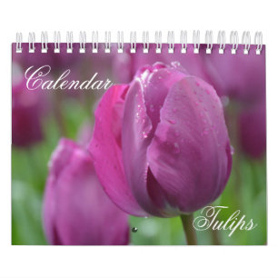 Tulipas do Calendário