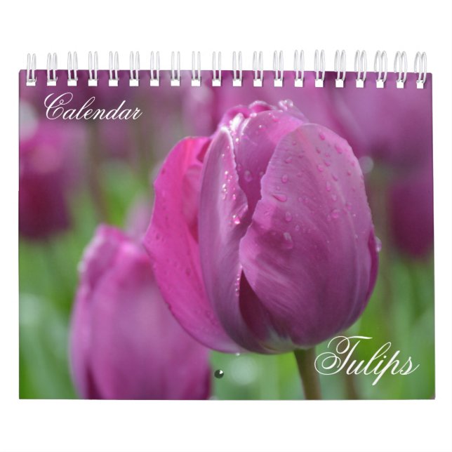 Tulipas do Calendário de Fotografias (Capa)