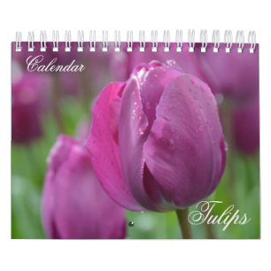 Tulipas do Calendário de Fotografias