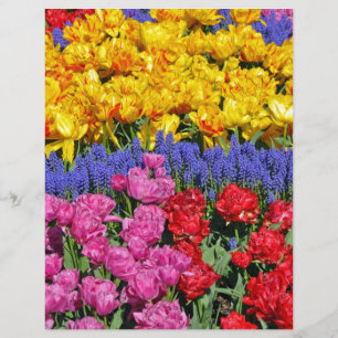 Tulipas e flores de muscari