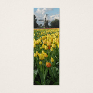 Tulipas e moinho de vento do primavera