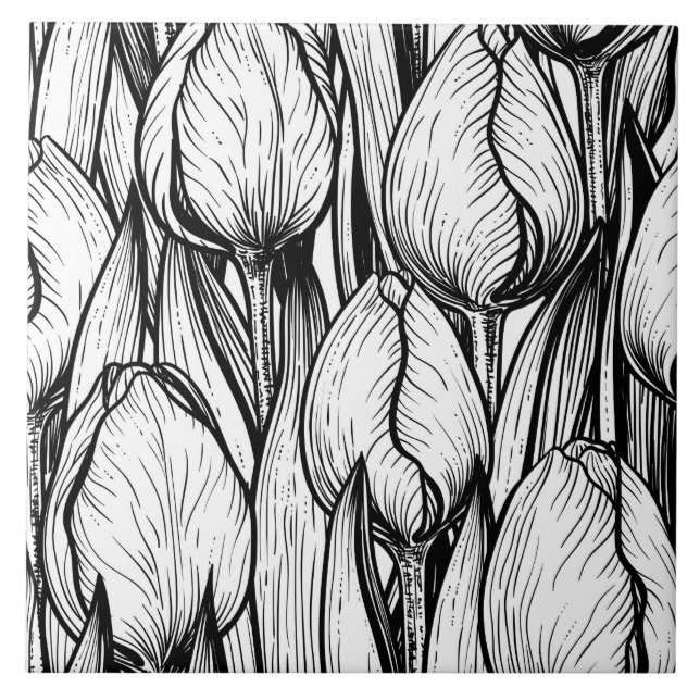 Tulipas em preto e branco (Frente)
