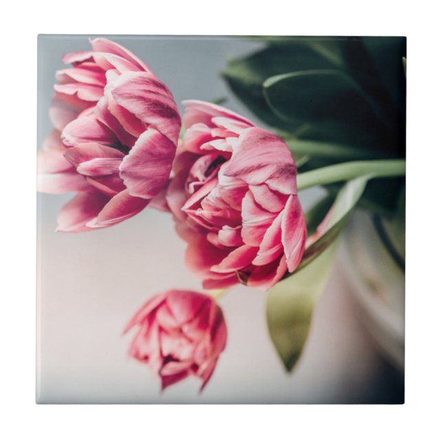 Tulipas em um vaso (Frente)