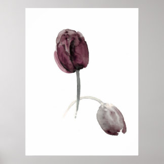 Tulipas flores poster púrpuras brancas