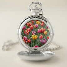 Tulipas Holandesas