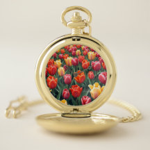 Tulipas Holandesas