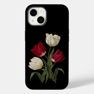 Tulipas iniciais do solteiro 002~ Arte botânica ~